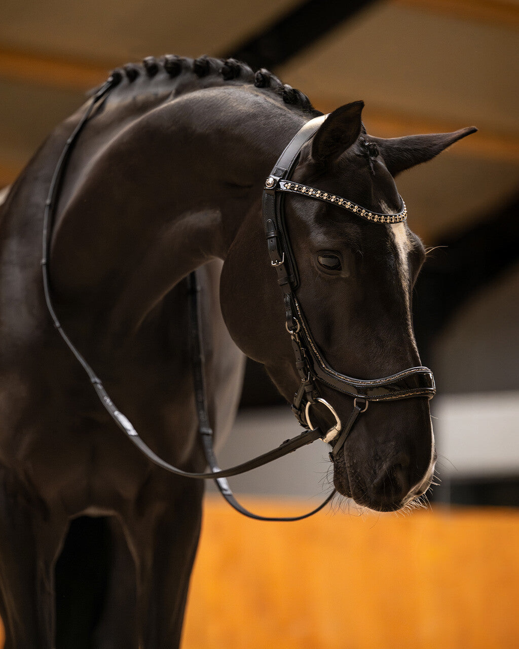 PRESTEQ FAYSPORT Glitter Anatomisk trense