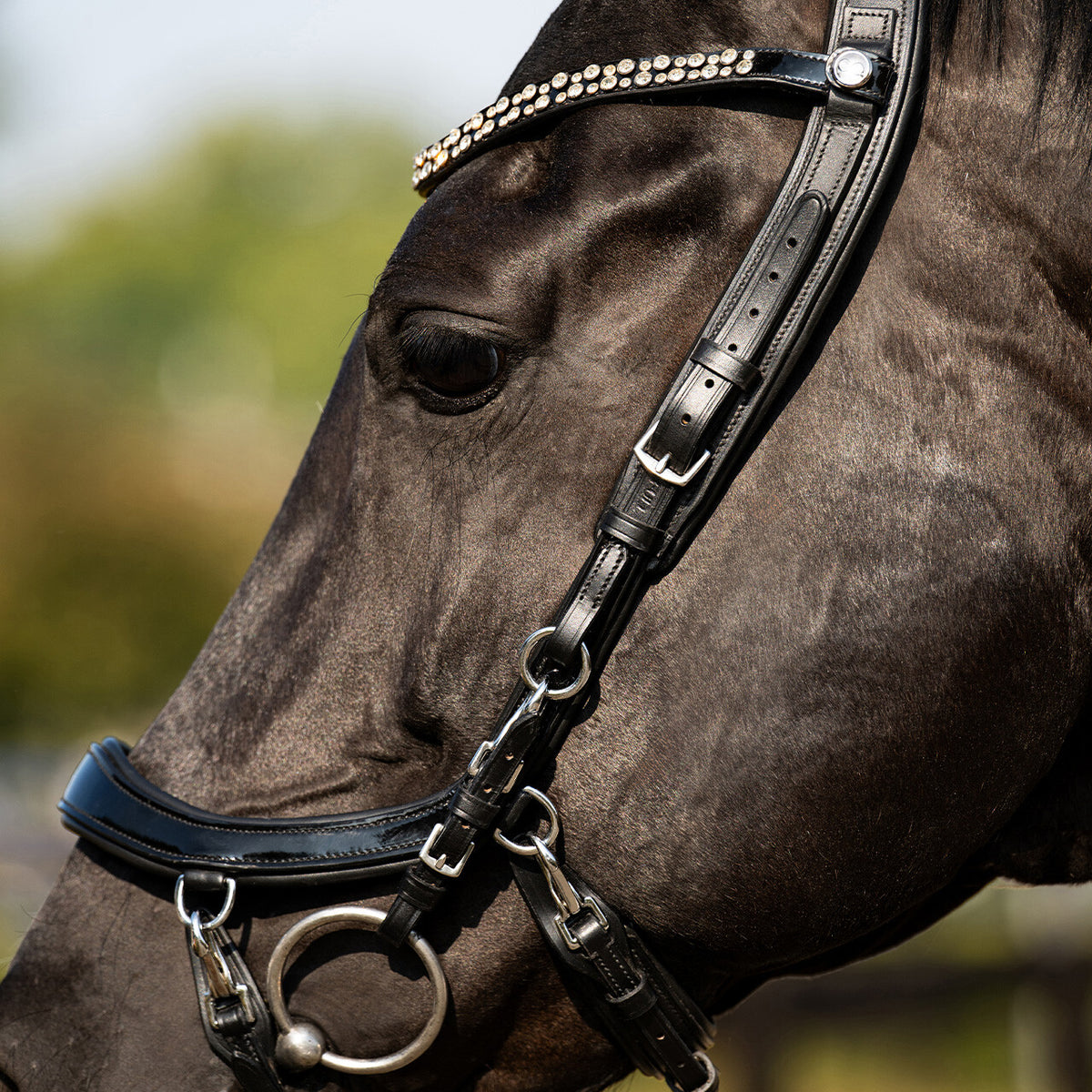PRESTEQ FAYSPORT Shine Anatomisk trense