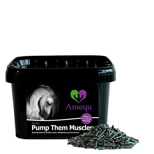 Amequ Pump Them Muscles 3kg