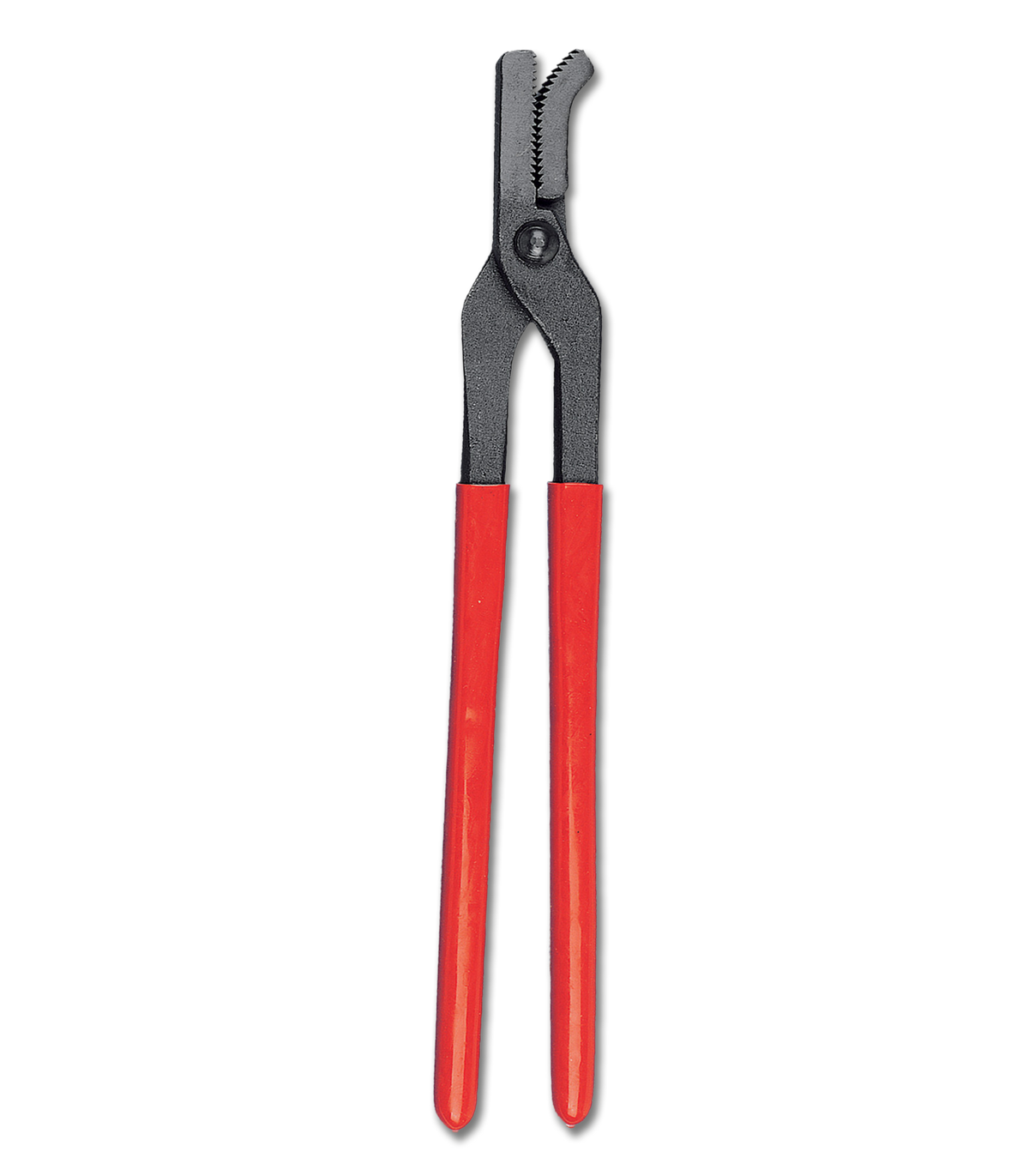 WALDHAUSEN Vejnetang, 35 cm
