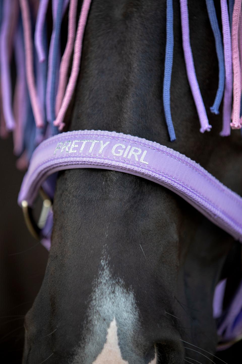 HORSEGUARD MALVA Grime. Lavender. "Pretty Girl"