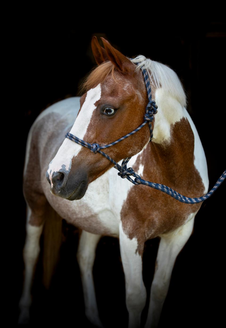 HORSEGUARD Rebgrime med træktov. Navy