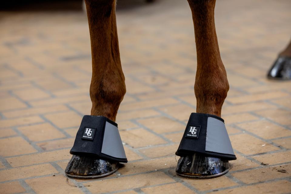 HORSEGUARD TOTALLY Refleks klokker