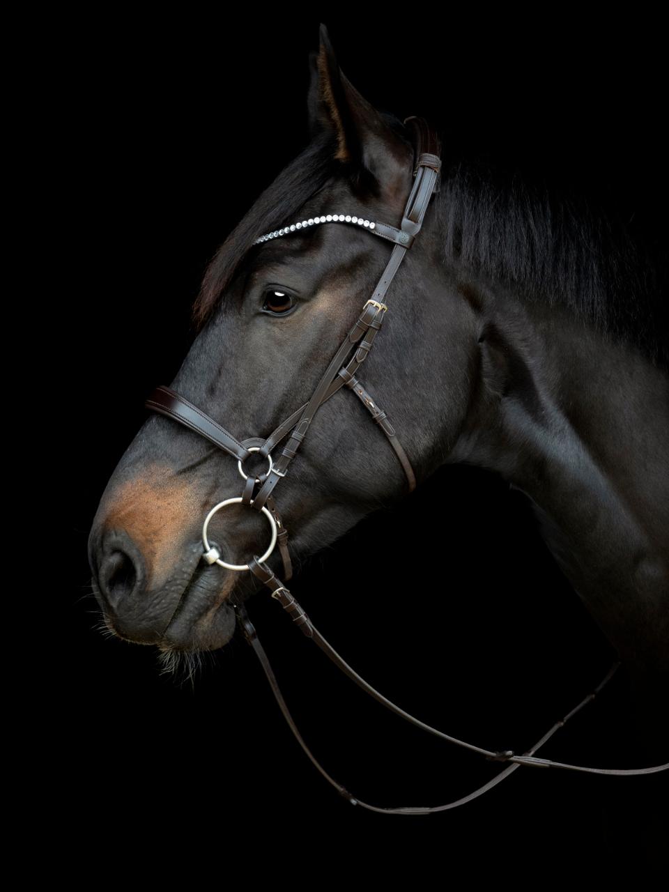 GENTLE BRIDLE Hagerem til halvt næsebånd. (B)