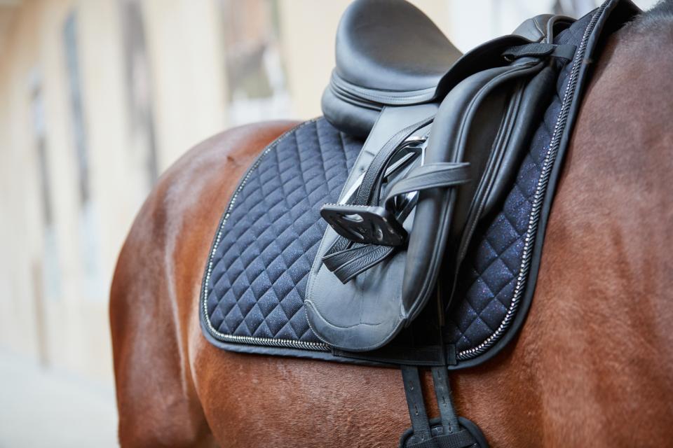 HORSEGUARD MILVA Sadelunderlag. Sort