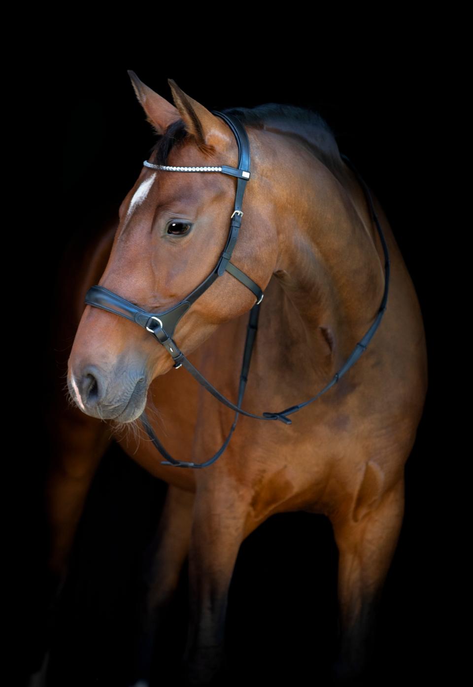 HORSEGUARD Bidløs trense. Sort