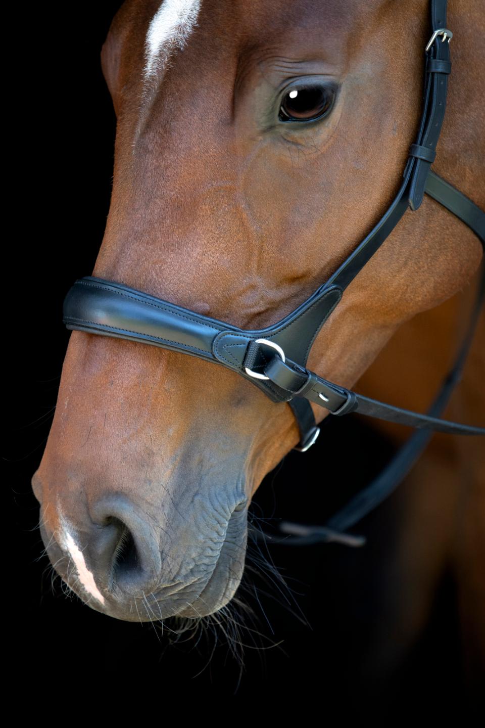 HORSEGUARD Bidløs trense. Sort