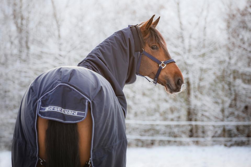 HORSEGUARD LYNN 400g. 1200D vinterdækken med fast hals. Navy
