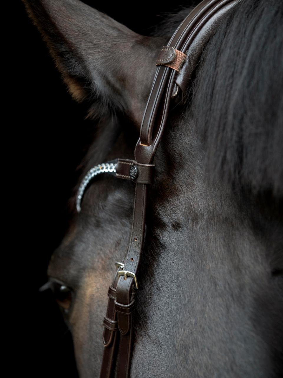GENTLE BRIDLE Nakkerem inklusiv nakkepude. (E)