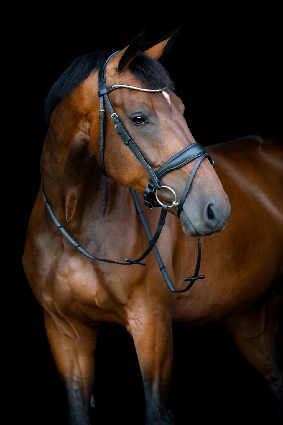 HORSEGUARD CRYLL 26.1 Trense med kombineret næsebånd og tilbagetræk.