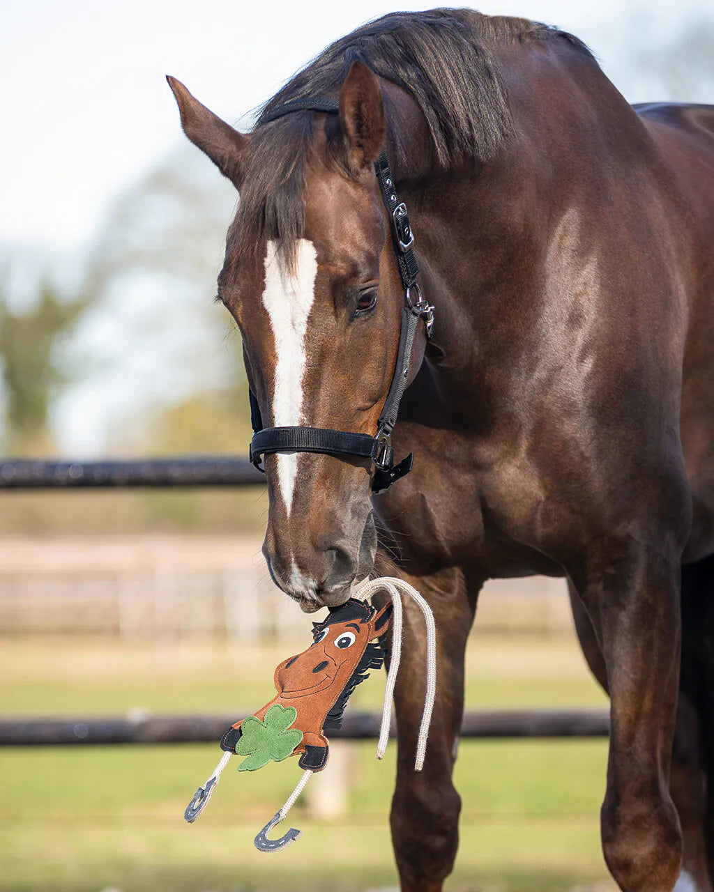 QHP Horse toy, good luck - hestelegetøj