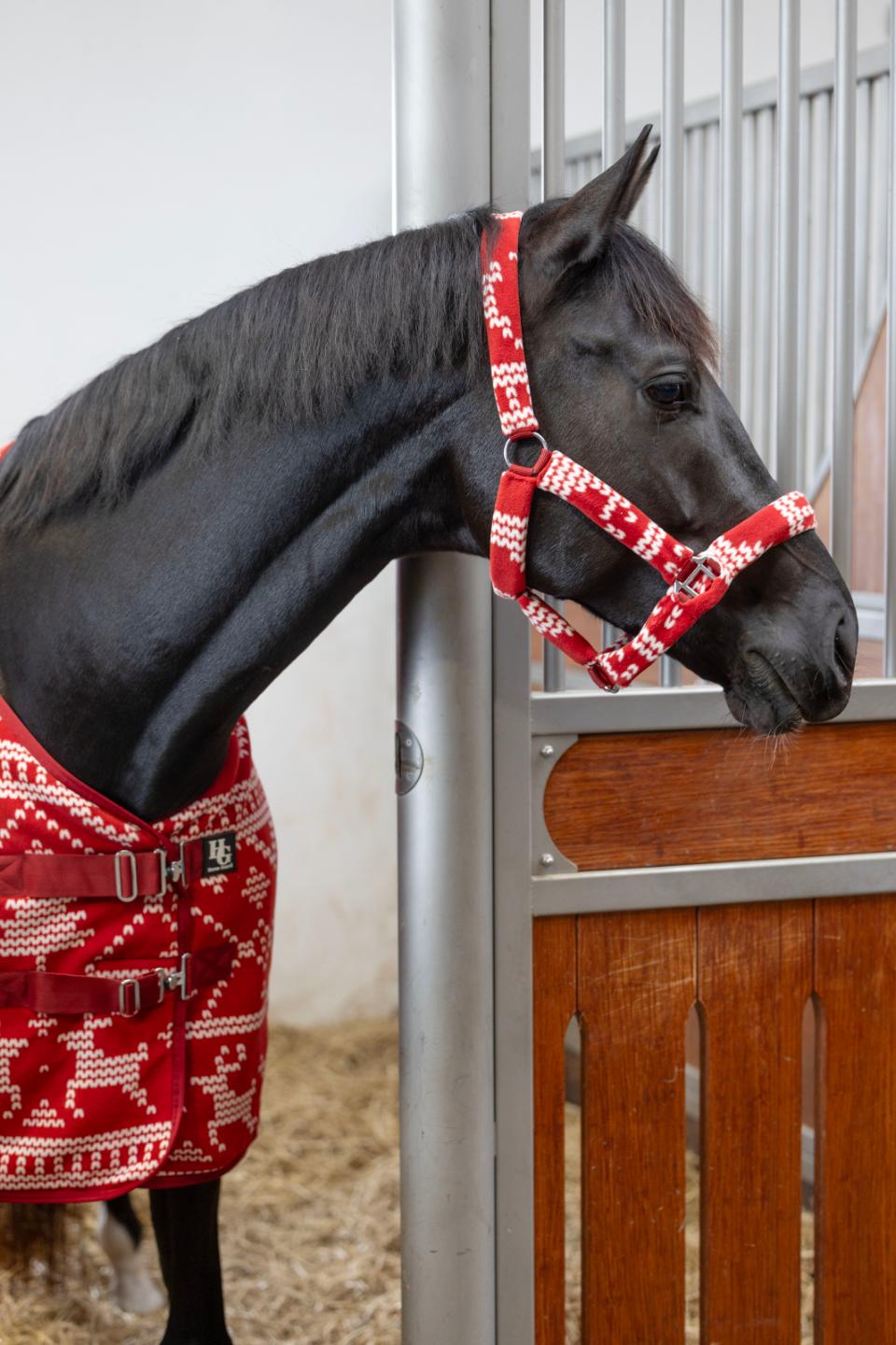 HORSEGUARD Juletæppe i fleece