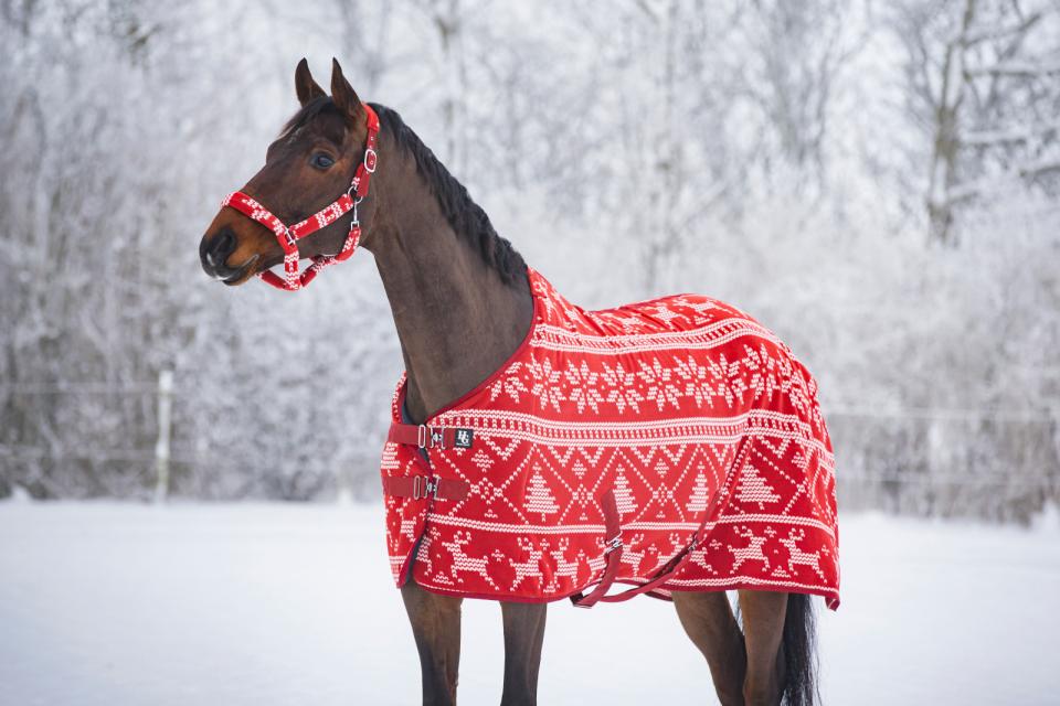 HORSEGUARD Juletæppe i fleece