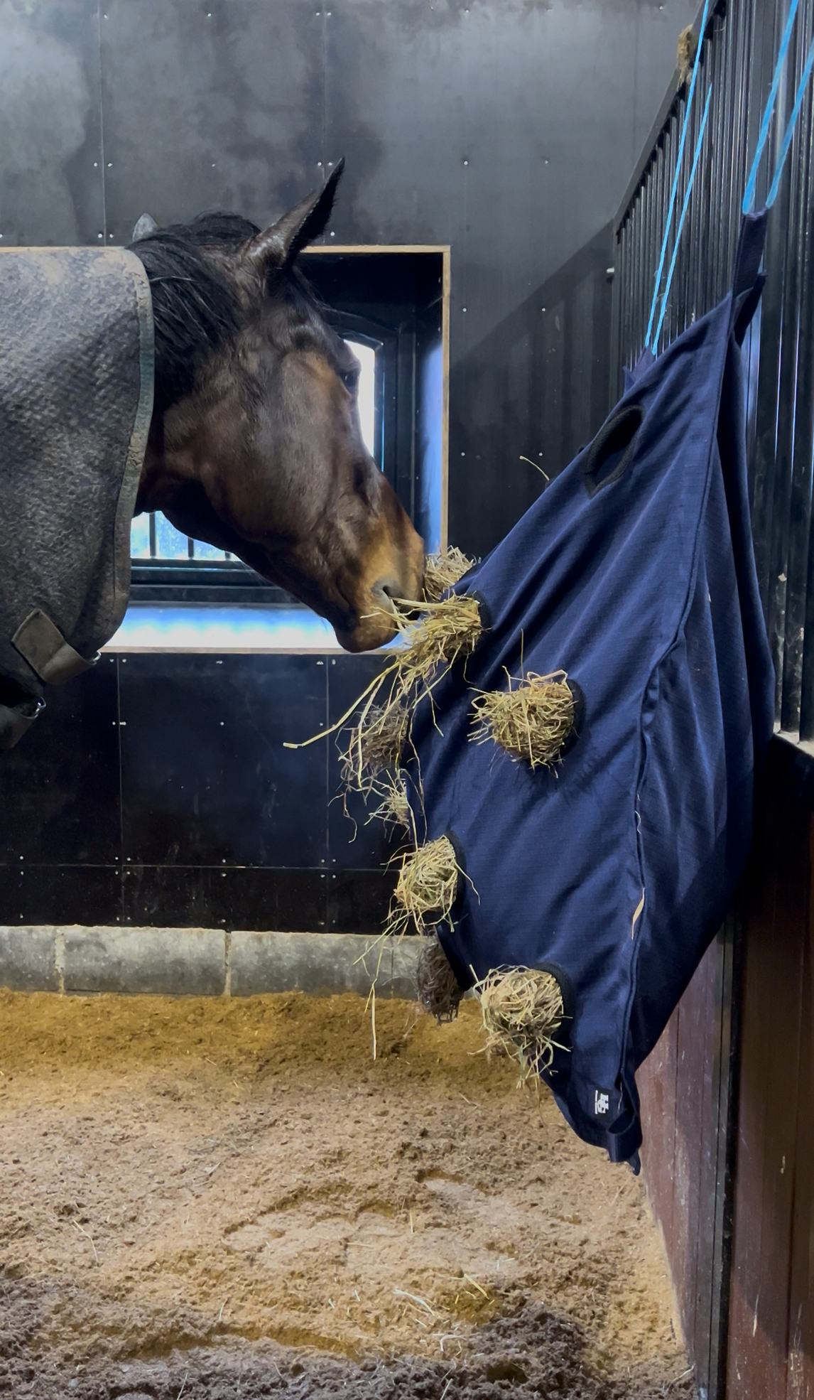 HORSEGUARD PILLOW Høpose/høpude. Navy