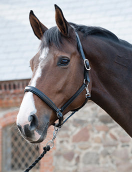 HORSEGUARD Soft lædergrime