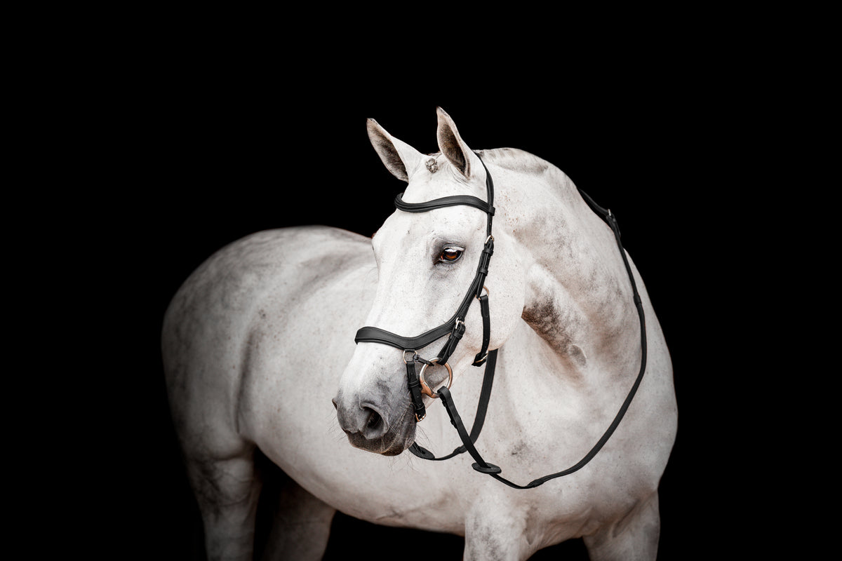HORSEWARE MICKLEM Competition II Trense