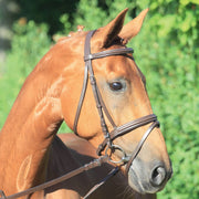 WALDHAUSEN LIFESTYLE Trense